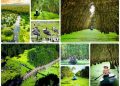 Top 50 tour du lịch độc đáo mang lại trải nghiệm thú vị tại Việt Nam