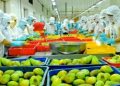 Ngay những ngày đầu năm, 5 nhóm hàng xuất khẩu đã mang về tỷ USD