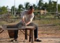 Hơn cả một câu chuyện gia đình: Lý Hải đặc tả xuất sắc mâu thuẫn thế hệ trong “Lật Mặt 8: Vòng Tay Nắng”
